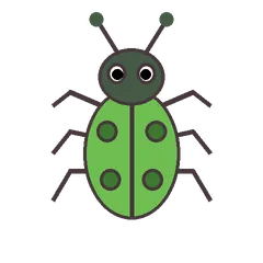 Insect