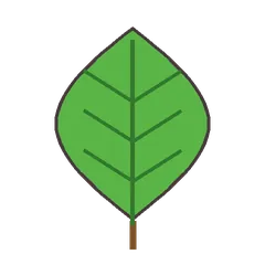Leaf